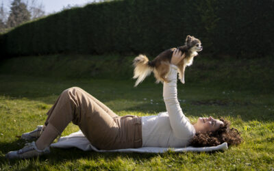 How to Choose the Perfect Poodle or Yorkie Puppy for Your Family