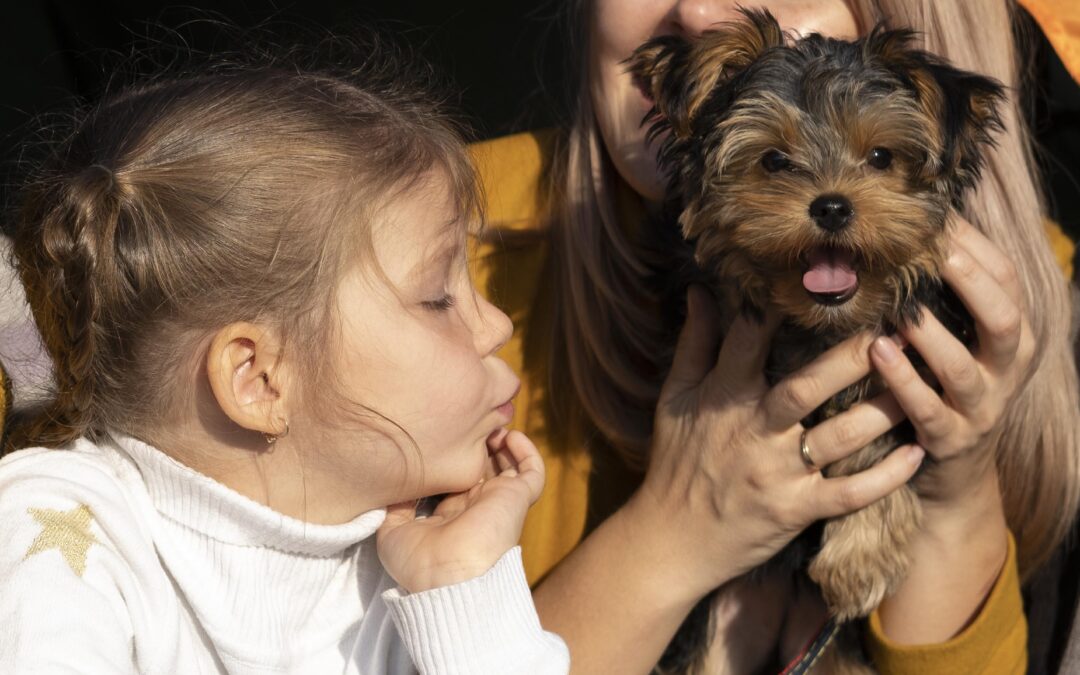 The Benefits of Early Socialization for Your Poodle or Yorkie Puppy