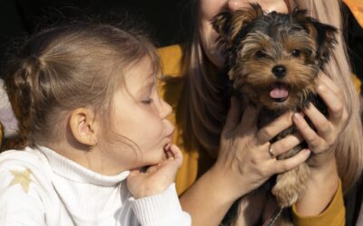 The Benefits of Early Socialization for Your Poodle or Yorkie Puppy